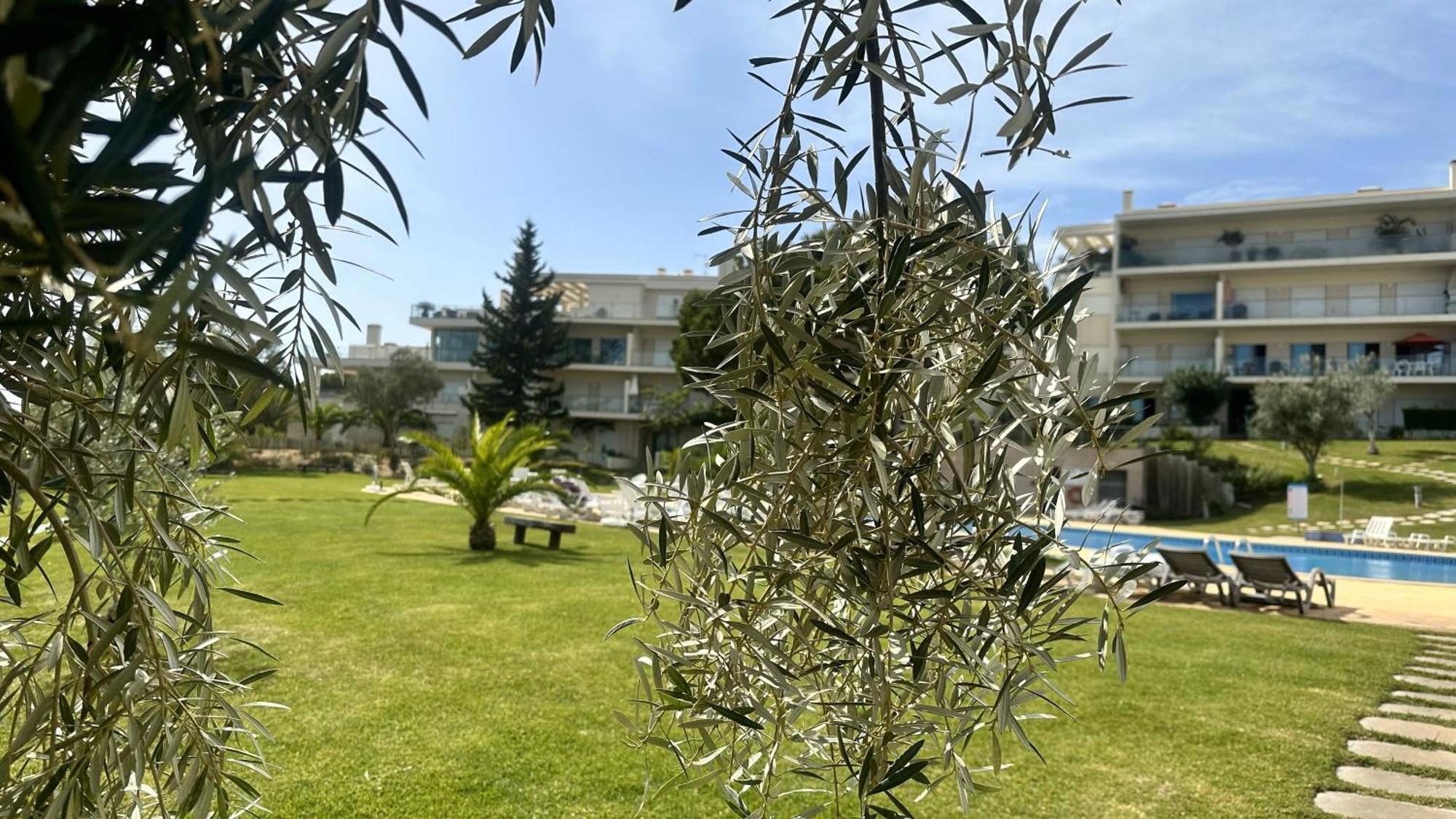 Charmant Appartement A 1Km De La Plage, Avec Piscine A アルブフェイラ エクステリア 写真